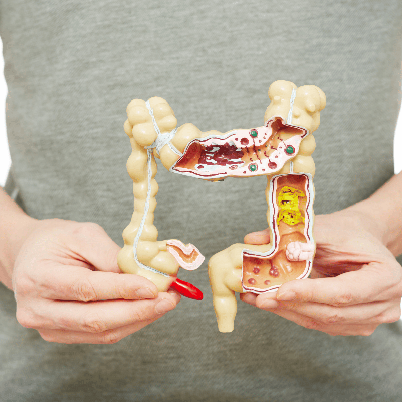 Untitled (1920 x 800 px) (1920 x 800 px) (800 x 800 px) (1)