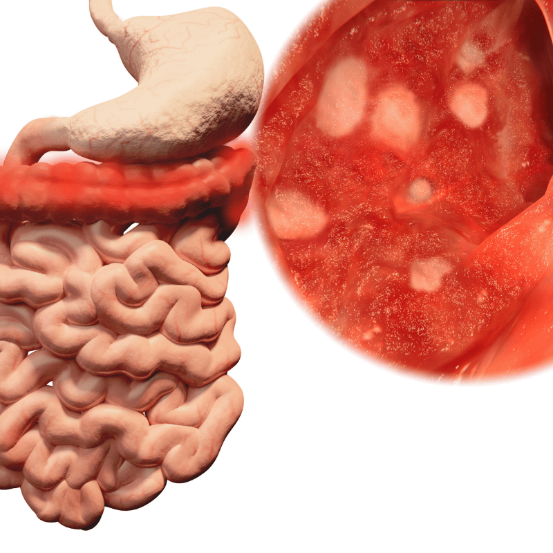 Untitled design (98)